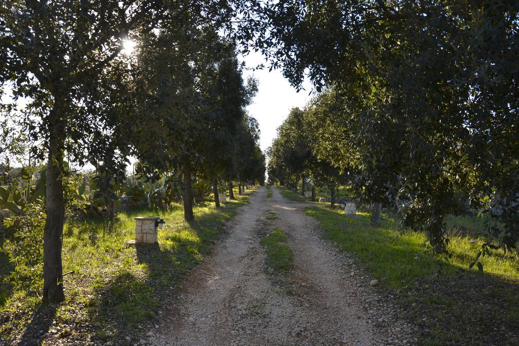 B&B Masseria Del Marchese Castellana Grotte Pokoj fotografie